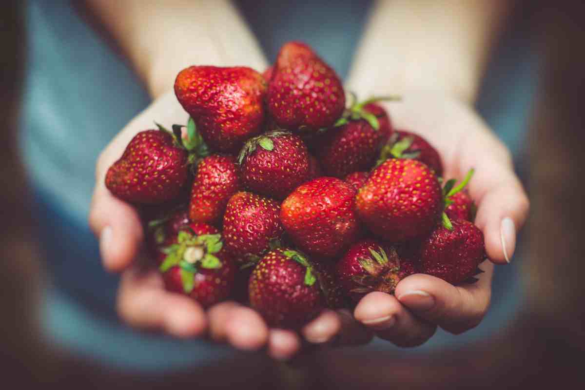 Le fragole si possono mangiare a dieta?