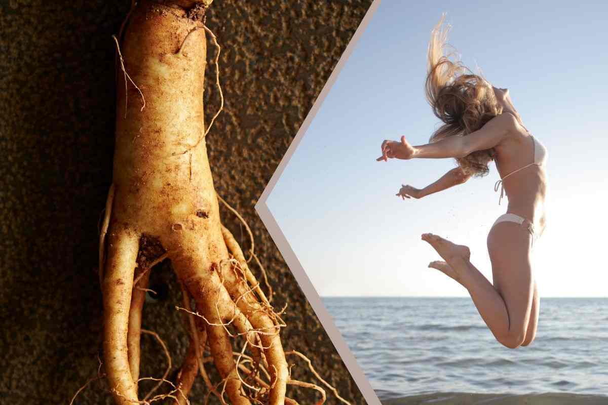 Tutti i benefici del ginseng