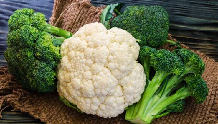 Cavoli e broccoli ci rendono longevi