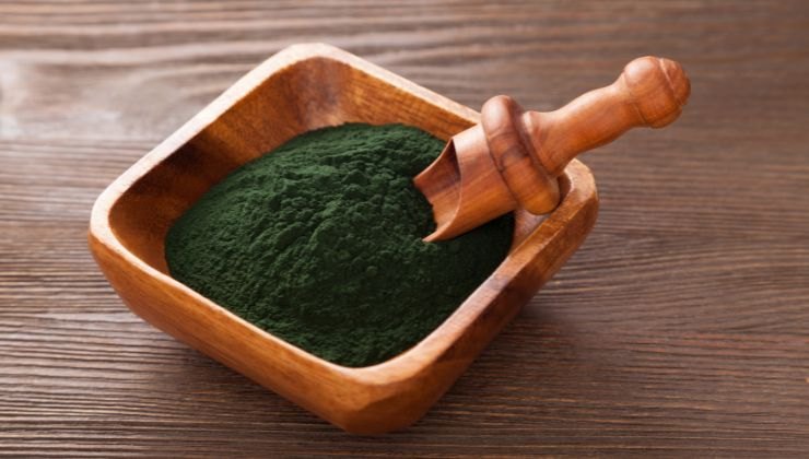 L'alga Spirulina contro i grassi