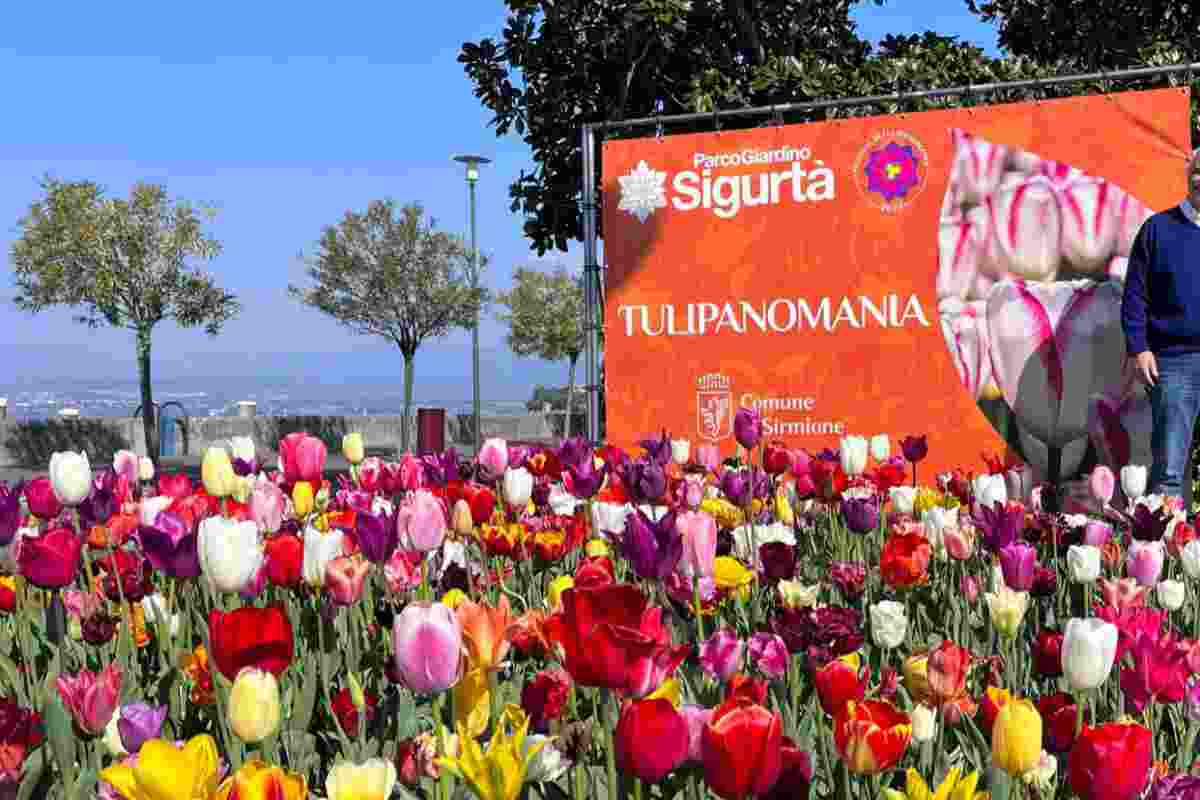 La tulipanomania italiana