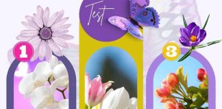 test fiori primavera preferito