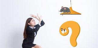 Topi, come dirgli addio