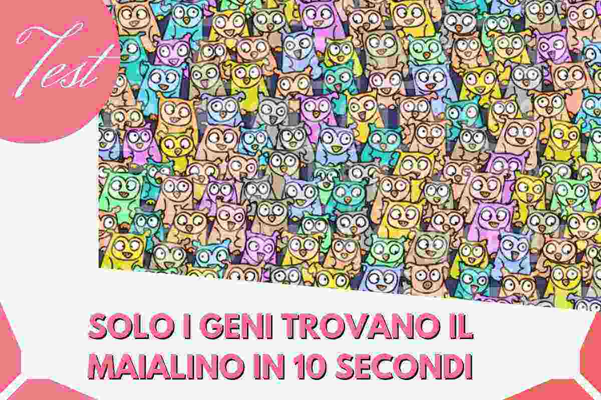 trovare in 10 secondi il maialino nascosto