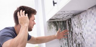 detergente muffa come preparare