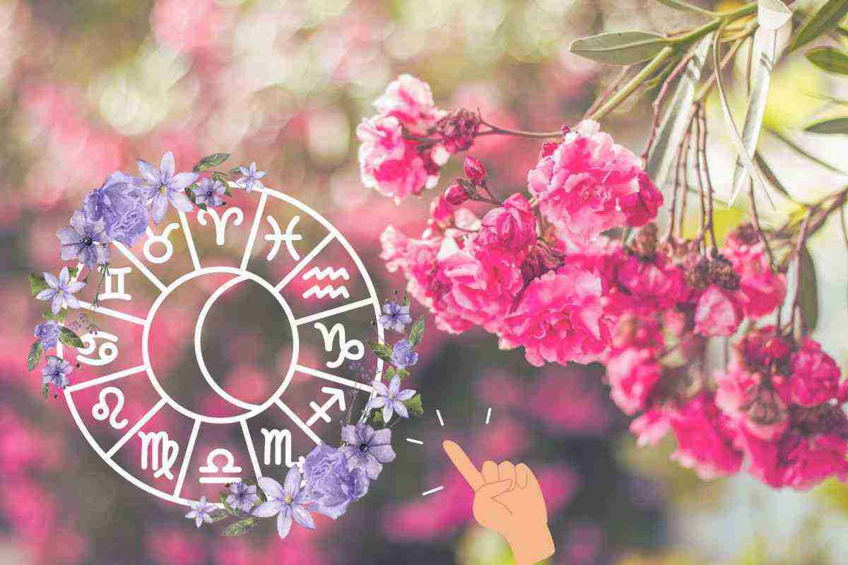 I fiori giusti per ogni segno zodiacale