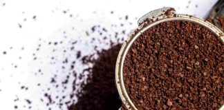 Fondi caffè: ecco come usarli per le piante