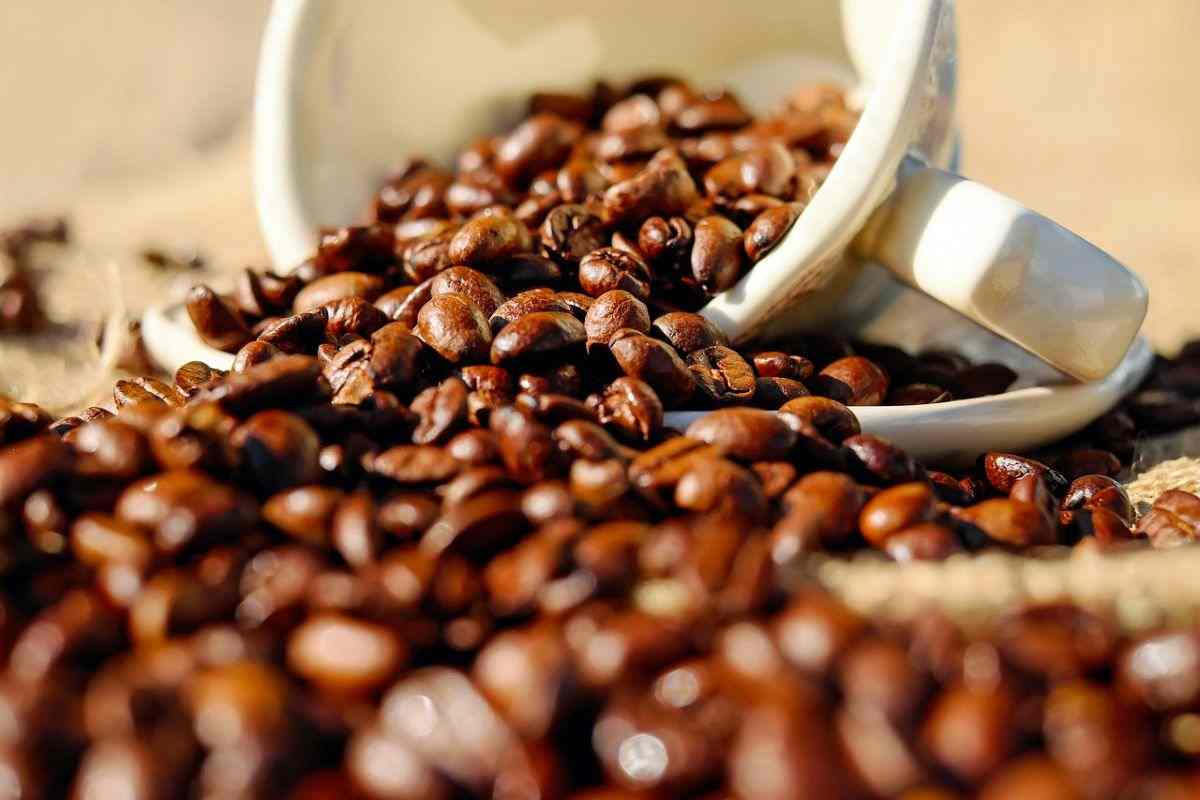 caffè aiuta a perdere peso 3 motivi