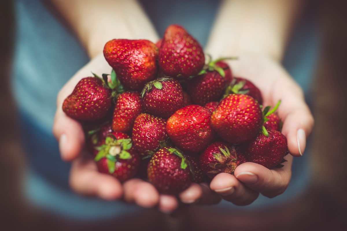 fragole bevanda come preparare