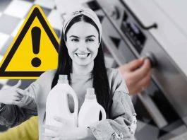 Pulizia forno tutte le componenti