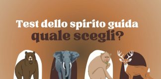 test animali spirito guida